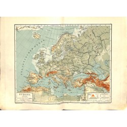 1553	 print map 1902 - 	EUROPE 1:20.000.000		size:	44 x 32 cm			