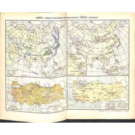 1769	 map/print	-	ASIA TURKEY ANIMAL PRODUCTION	 printed: 1954