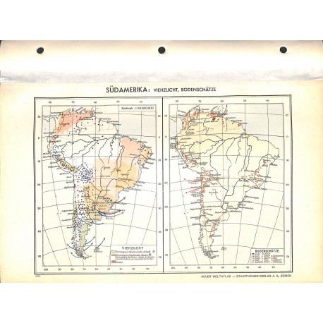 1819	 map/print	-	SOUTH AMERICA CATTLES 	 printed: 1954