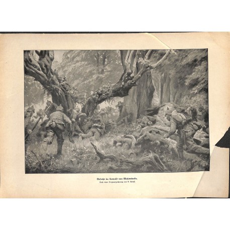 2143	 WWI print 1914/18-	Bialowieska german soldier forrest battle 	,size:	47 x 32,5 cm	, printed on normal paper-	,this print c