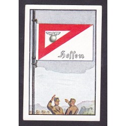 2450	-	Kommandoflagge einer Gruppe		 Nr. 138	