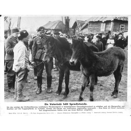 13832	 WWII press photo print	 Ein Veterinär hält Sprechstunde	 Russia, 1943, Serie 1570d	